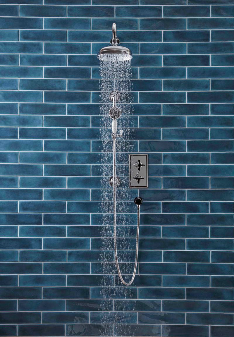 Fairview concealed dual function shower lifestyle