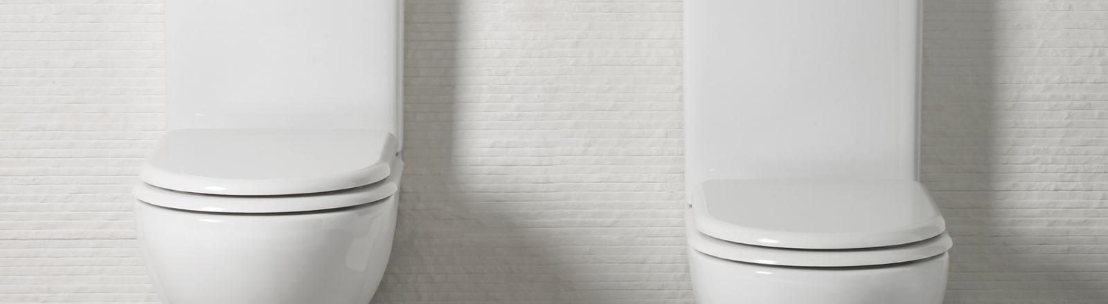 An Extensive Guide to Toilet Terminology