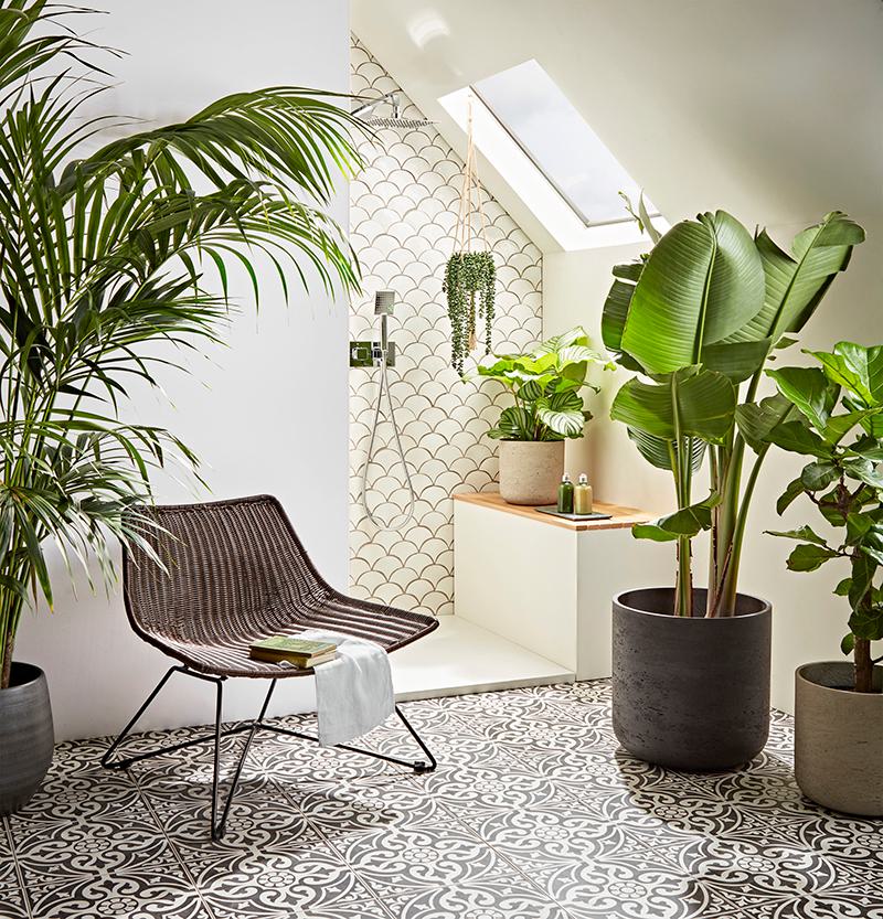 Our Guide to Choosing & Styling Bathroom Plants Image 3