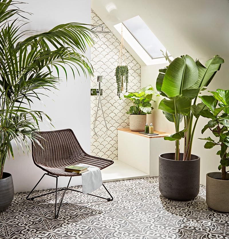 Our Guide to Choosing & Styling Bathroom Plants Image 3 Our Guide to Choosing & Styling Bathroom Plants Image 3