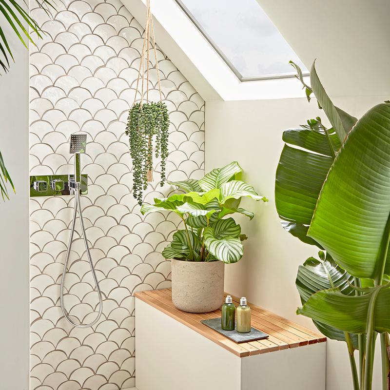 Our Guide to Choosing & Styling Bathroom Plants Image 6