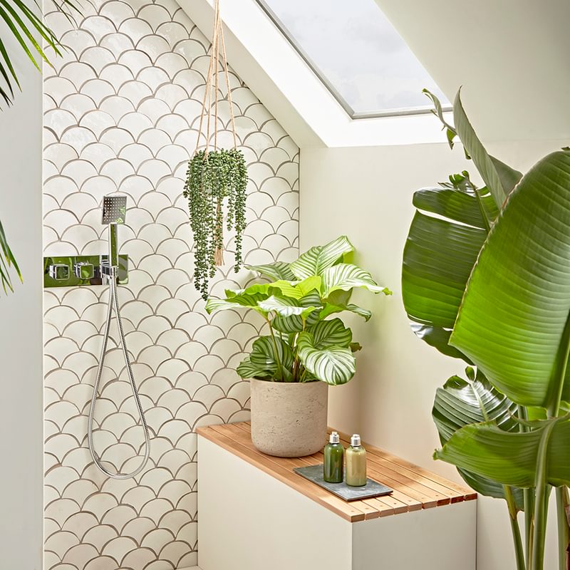 Our Guide to Choosing & Styling Bathroom Plants Image 6 Our Guide to Choosing & Styling Bathroom Plants Image 6