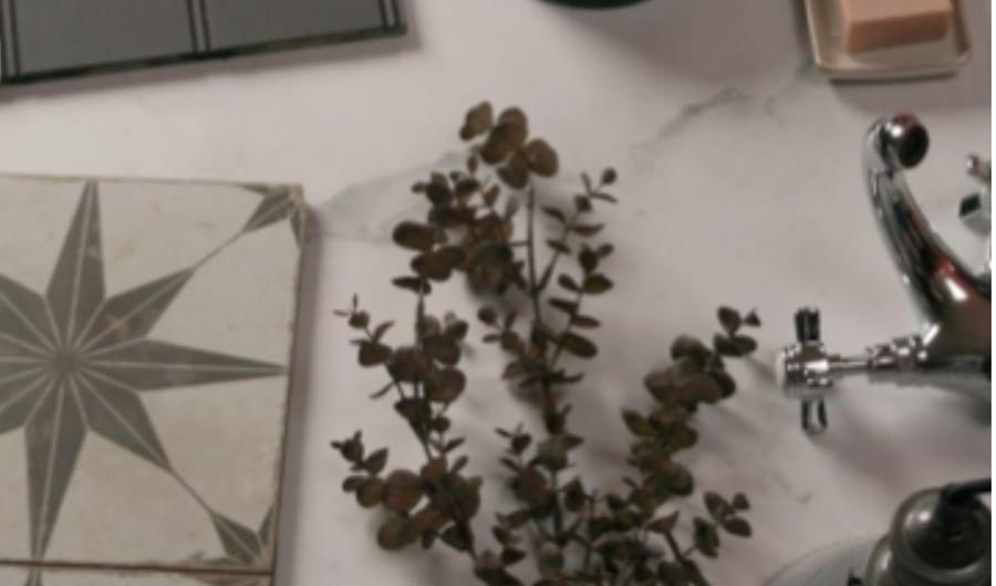 need design advice? need design advice?