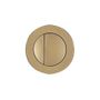 Brushed brass Round dual flush button TR9034 slide image