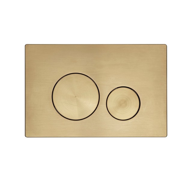 Circles Brushed Brass Dual Flush Plate TR9037