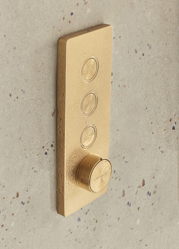 Event Click Brushed Brass Triple Function Valve With Water Handset Lifestyle