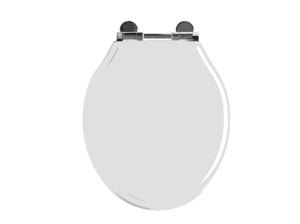 HSCTSW Gloss White Toilet Seat slide image
