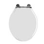 HSCTSW Gloss White Toilet Seat slide image
