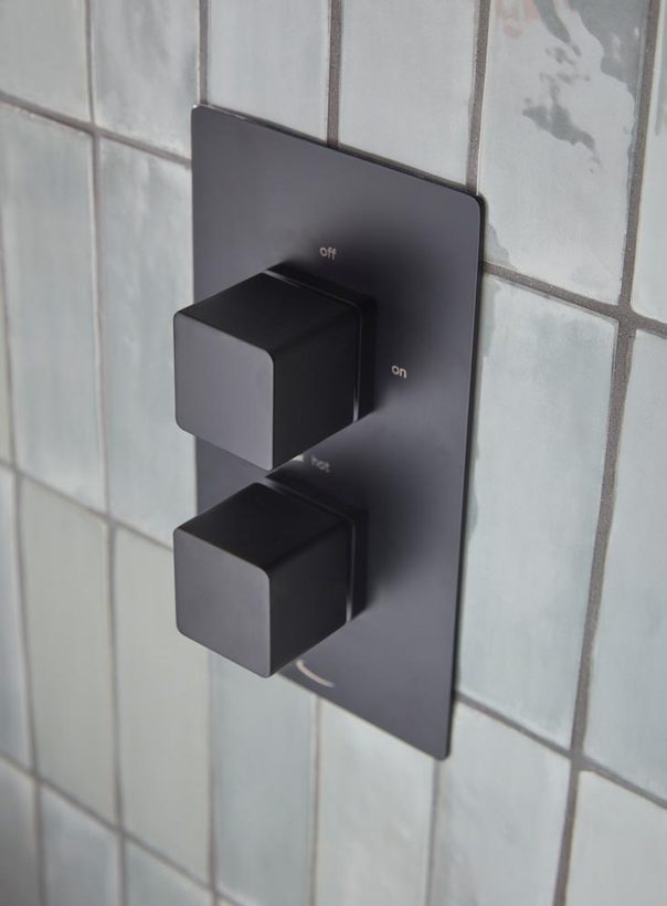 Index Black Concealed Valve Detail Index Black Concealed Valve Detail