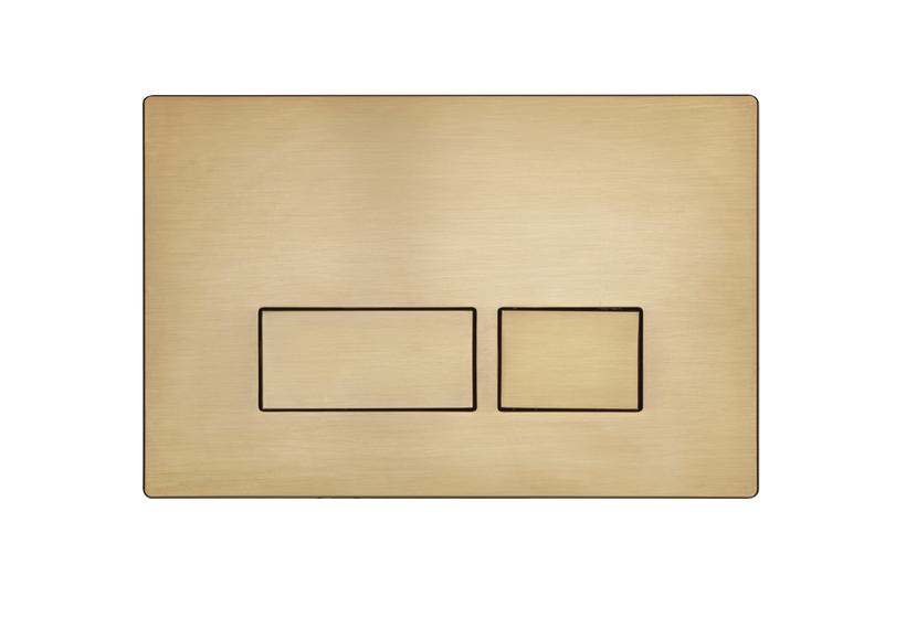 Plaza Brushed Brass Dual Flush Plate TR9037