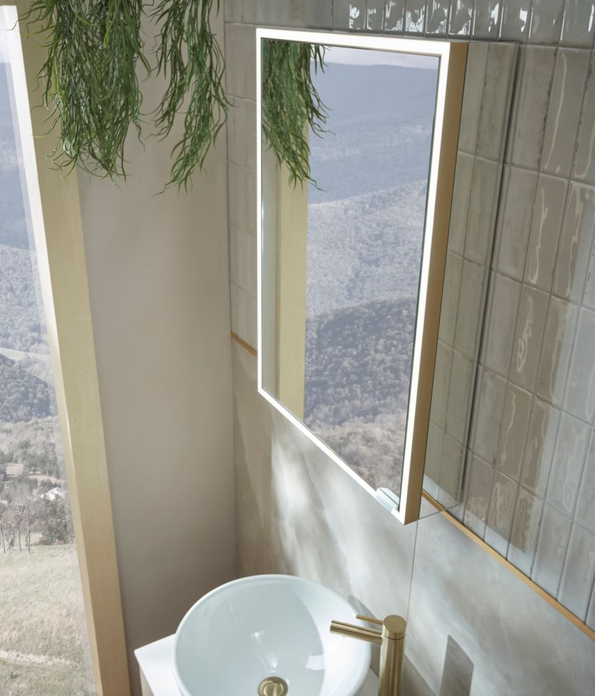 Portrait Cabinet 4943 slide image Portrait Cabinet 4943 slide image