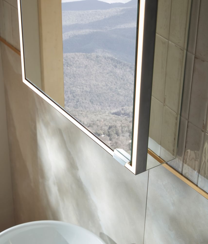 Portrait Cabinet Detail GM 4951 slide image Portrait Cabinet Detail GM 4951 slide image