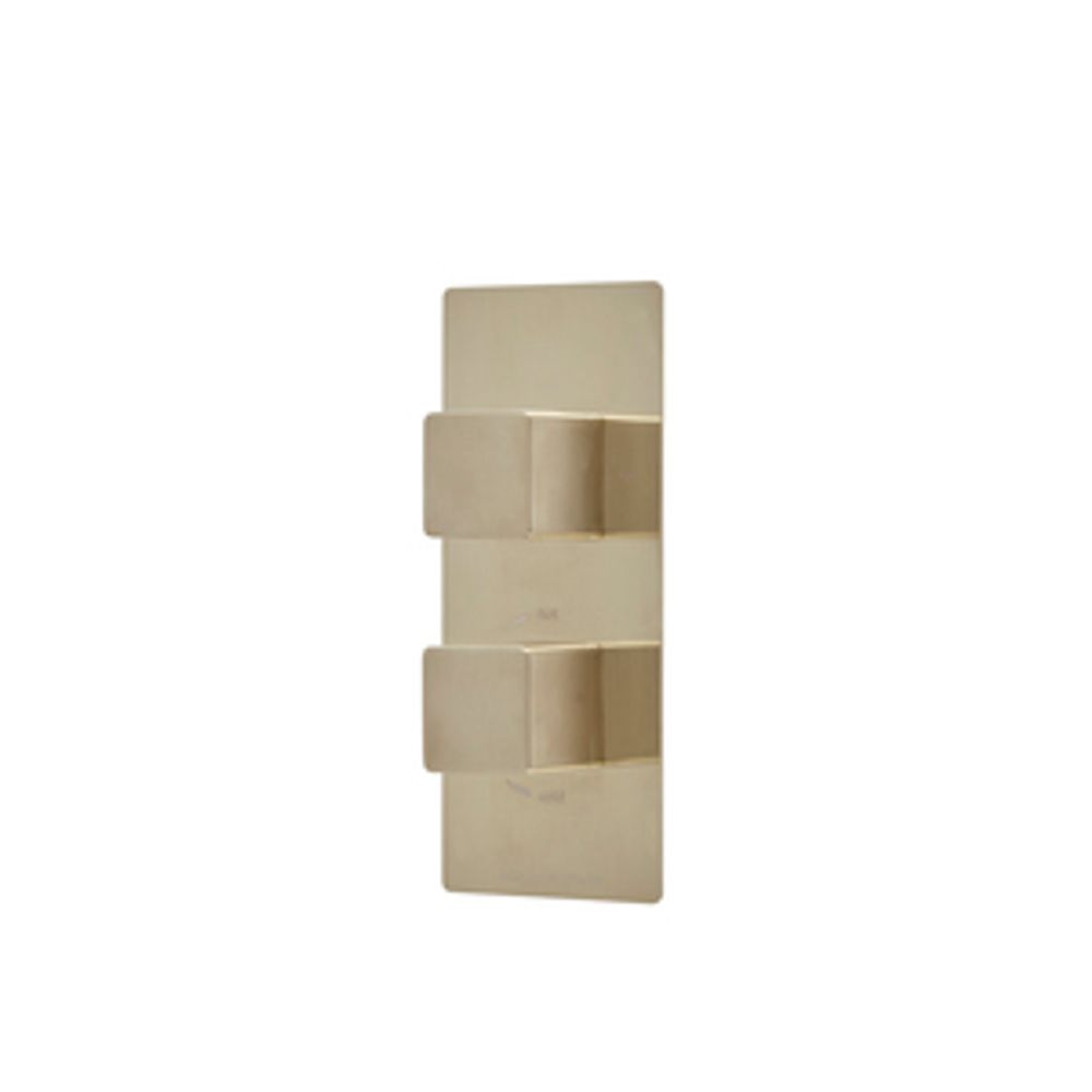 Recite Dual Function Shower Valve Brushed Brass 1065078 slide image Recite Dual Function Shower Valve Brushed Brass 1065078 slide image