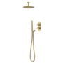 SVSET194 Unity 2 F Shower System Hotel Style with Ceiling Arm Brushed Brass slide image