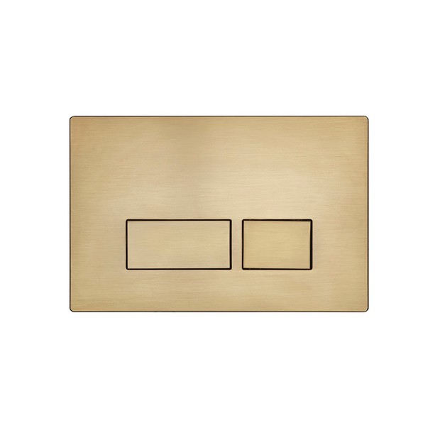Square Brushed Brass Dual Flush Plate TR9036