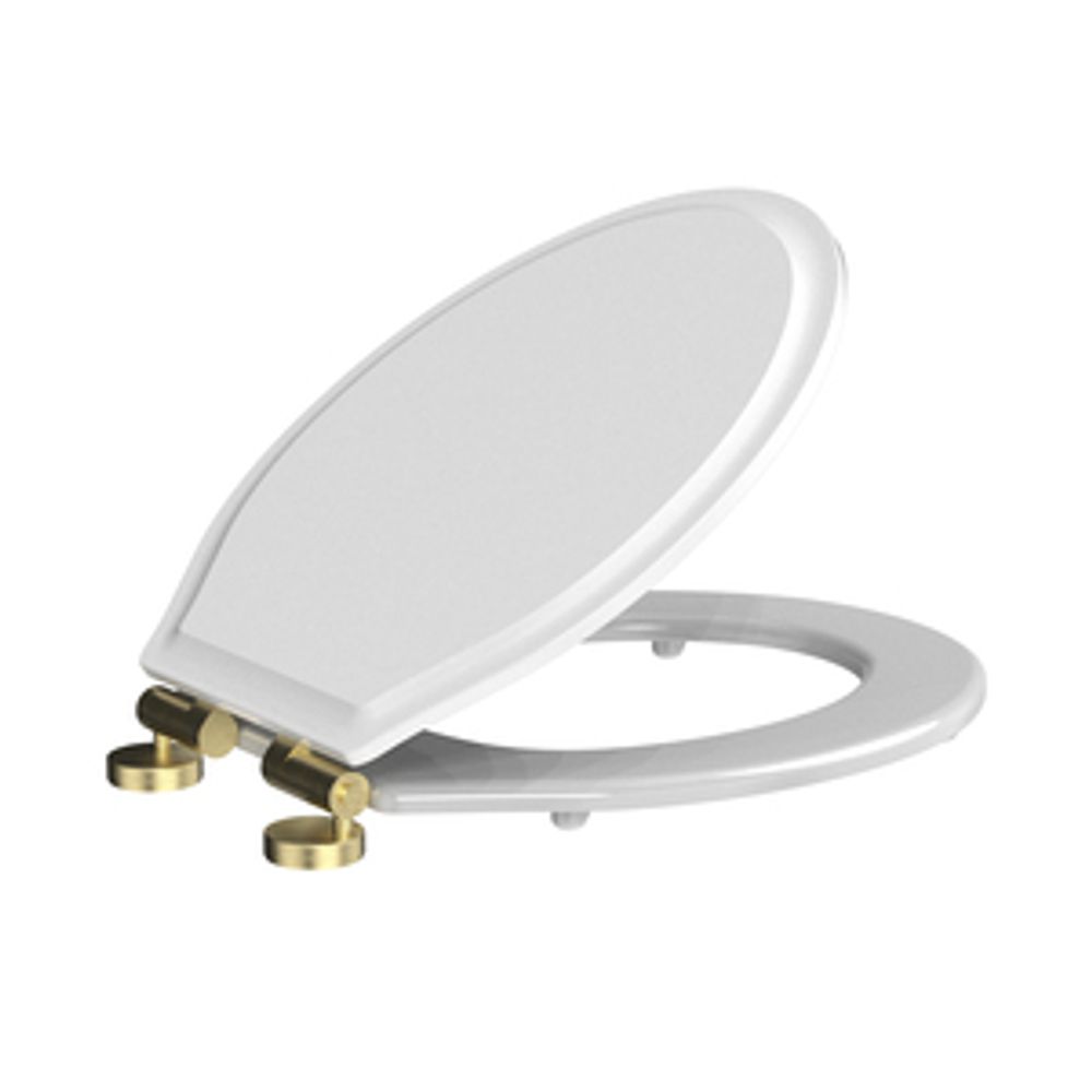 HARROW SECURE FIX QR TOILET SEAT WITH BRUSHED BRASS HINGE 1069466 slide image HARROW SECURE FIX QR TOILET SEAT WITH BRUSHED BRASS HINGE 1069466 slide image