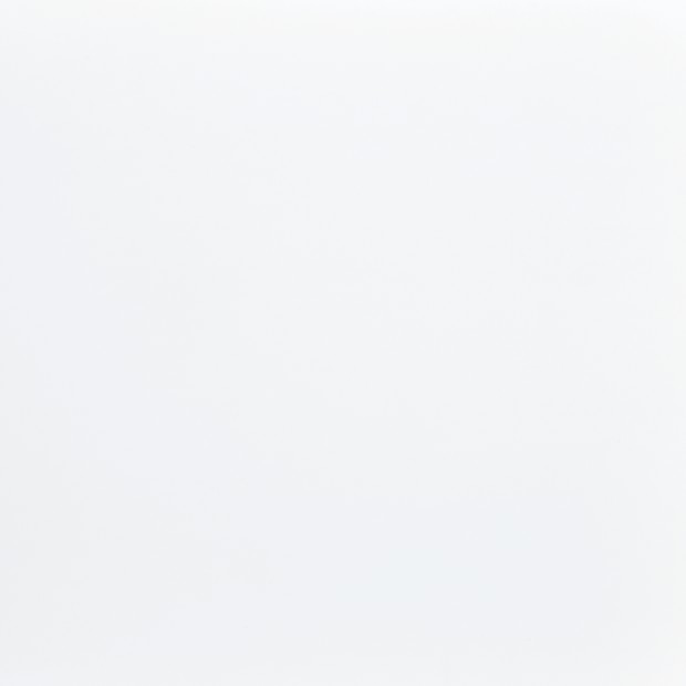 Arctic white Arctic white